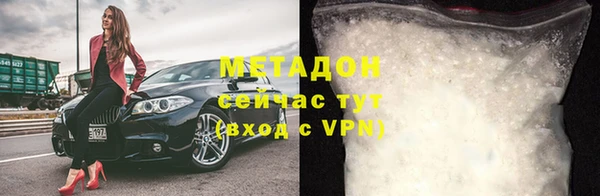прущие грибы Новозыбков
